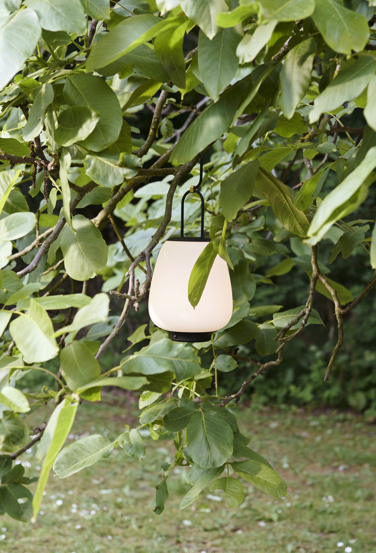 Lucca Lamp SC51